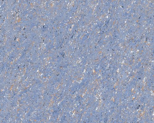 Aster Blue
